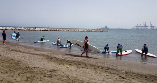  entrer dans l'eau pour pratiquer le paddle surf 